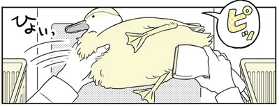 ひょいっ