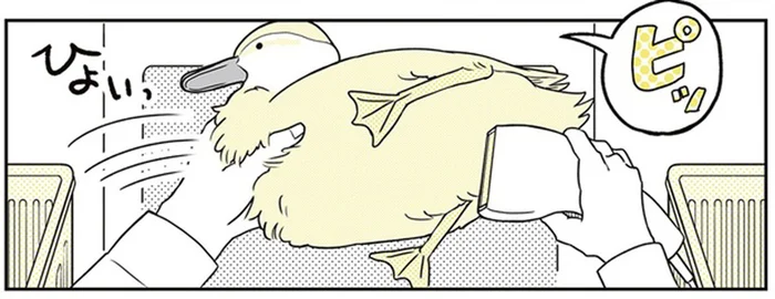 鍋の材料を買おうとしたらカモがレジにやってきて⁉