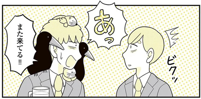 また来てる！！