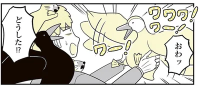 どうした！？
