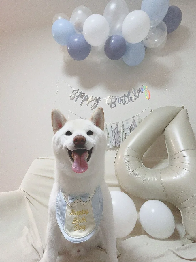 笑顔がとっても可愛い!▶お誕生日のごはん(⇒次へ)