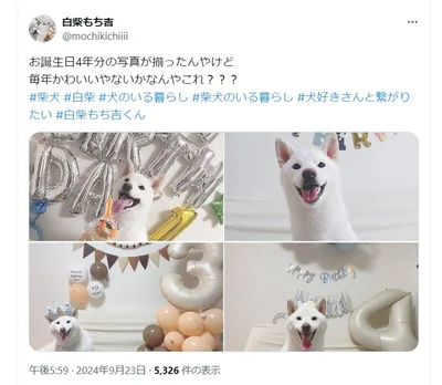 お誕生日4年分の写真のポスト▶1歳のもち吉くん（⇒次へ）