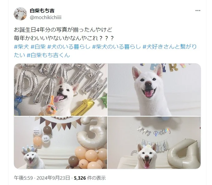 お誕生日4年分の写真のポスト▶1歳のもち吉くん(⇒次へ)