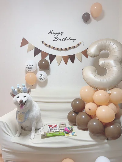 王冠がとっても似合っています▶4歳のもち吉くん（⇒次へ）