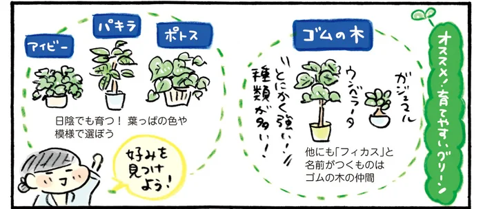 育て始めるのは春か秋が◎初心者にも育てやすいグリーンを選んでみた