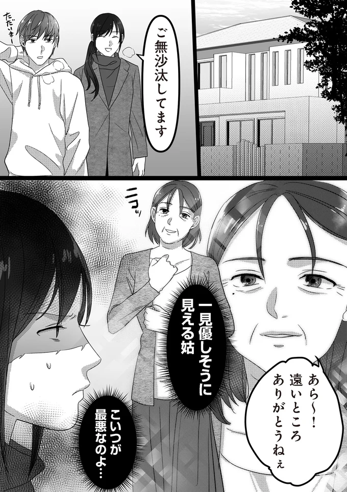 『私、「サレ妻予備軍」になりました。』より
