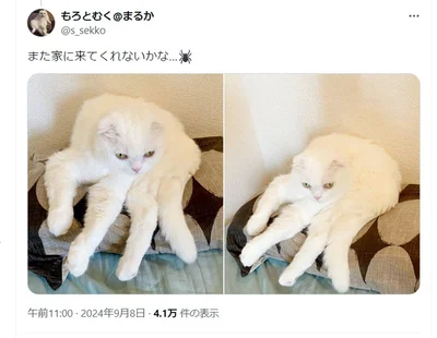 4年前の目撃から同じ姿を見かけることはなかったそう▶また来てほしいですね（⇒次へ）