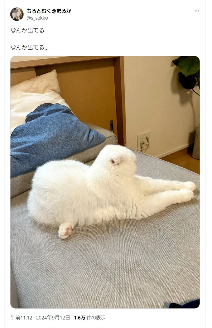 なんか出てる…▶猫を組み立てる時…!?(⇒次へ)