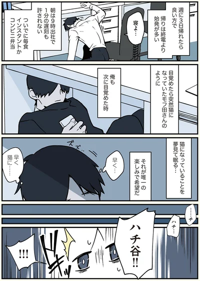 猫になっていることを夢見て眠る…