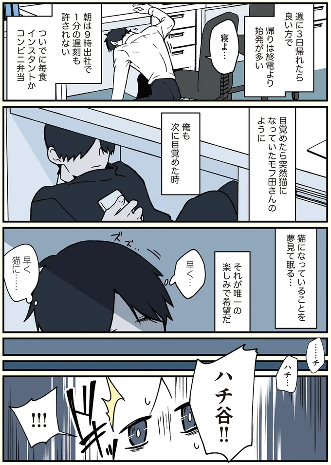 猫になっていることを夢見て眠る…