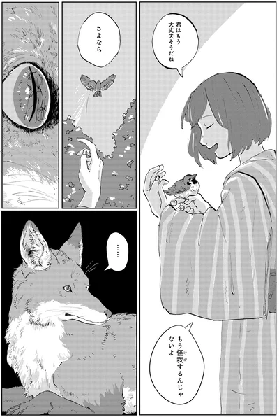もう怪我するんじゃないよ