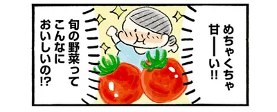目標は1週間で使い切ること。おいしくて手頃な旬の野菜で自炊を楽しく！