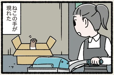 ねこの手が現れた