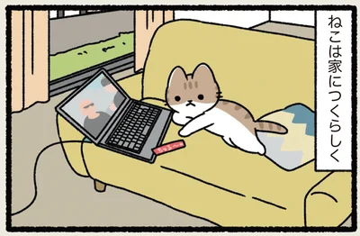 ねこは家につく