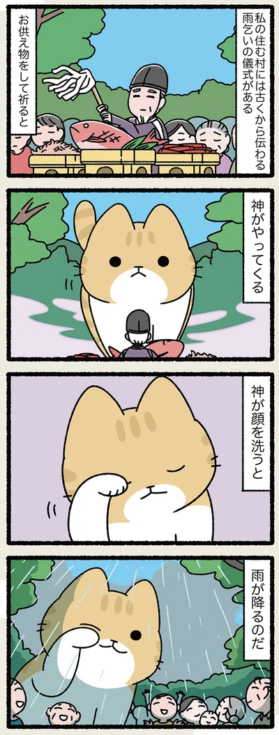 ねこが顔を洗うと雨が降る
