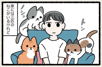 家には三匹のねこがいるけれど