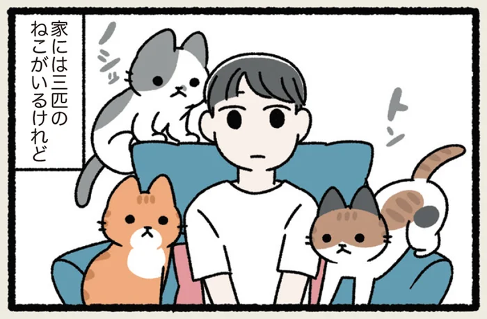 【ねこは長者の生まれ変わり】我が家の猫が飼い主をお金持ちにしてくれます!?