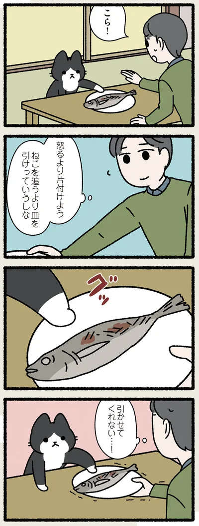 ねこを追うより皿を引け