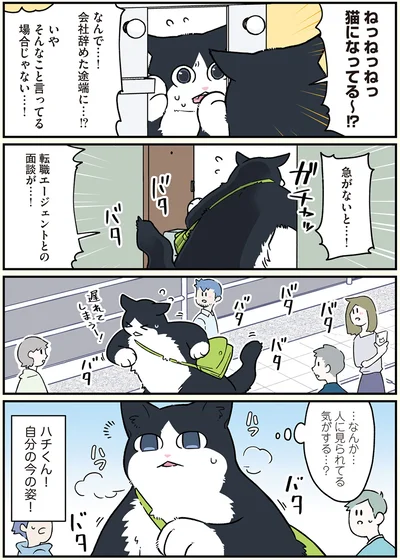 転職エージェントとの面談が…！