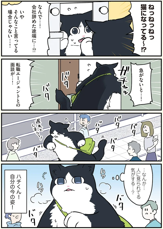 転職エージェントとの面談が…！