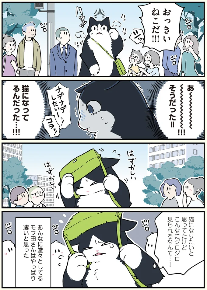 猫になりたいと思ってたけど　こんなにジロジロ見られるなんて…！