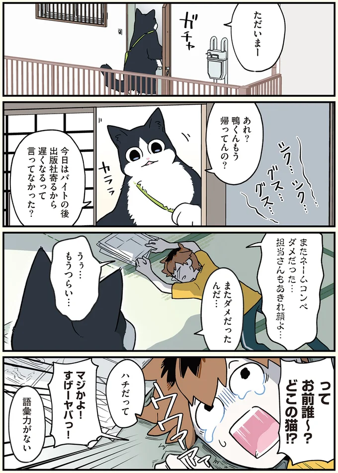 ってお前誰～？どこの猫！？