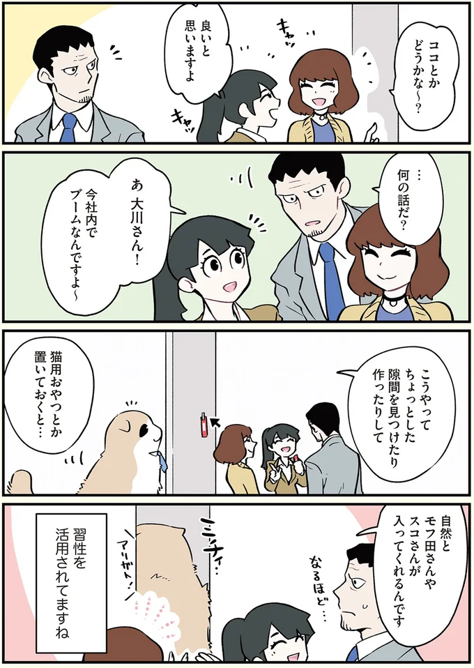 今社内でブームなんですよ～