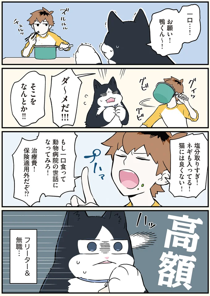 治療費！保険適用外だぞ！？