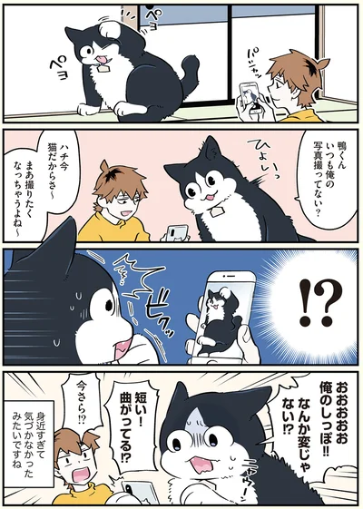 俺のしっぽ！！なんか変じゃない！？