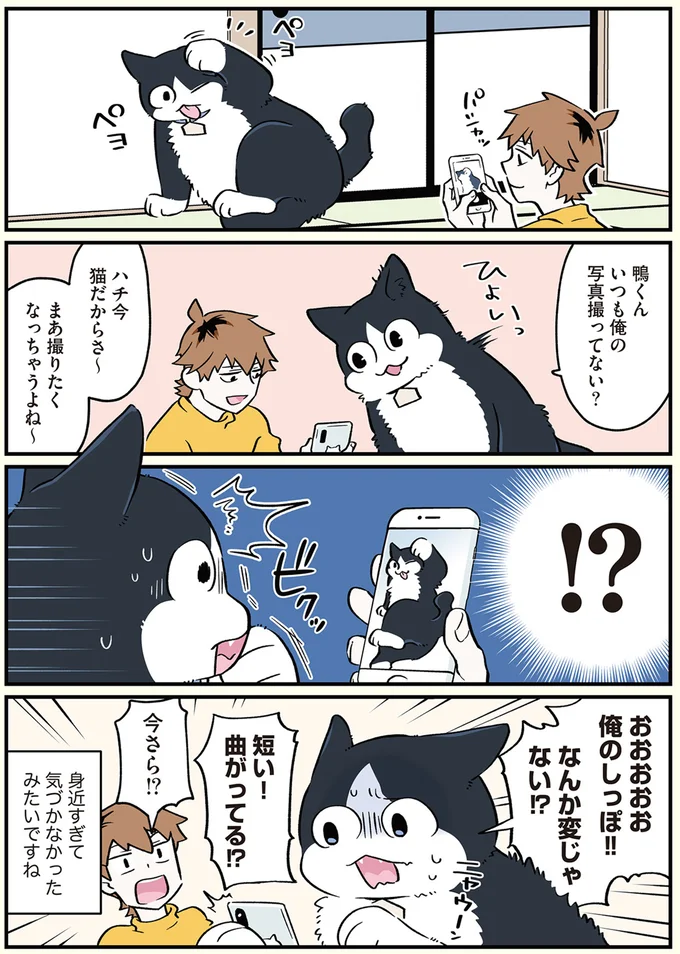 俺のしっぽ！！なんか変じゃない！？