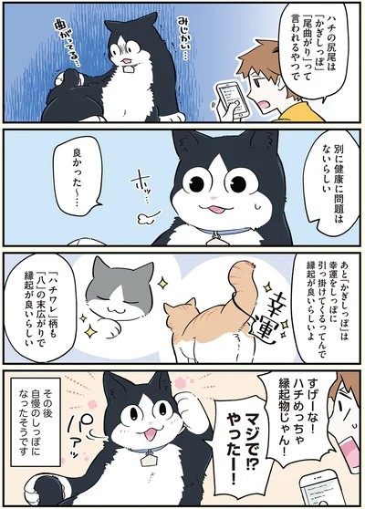 すげーな！ハチめっちゃ縁起物じゃん！