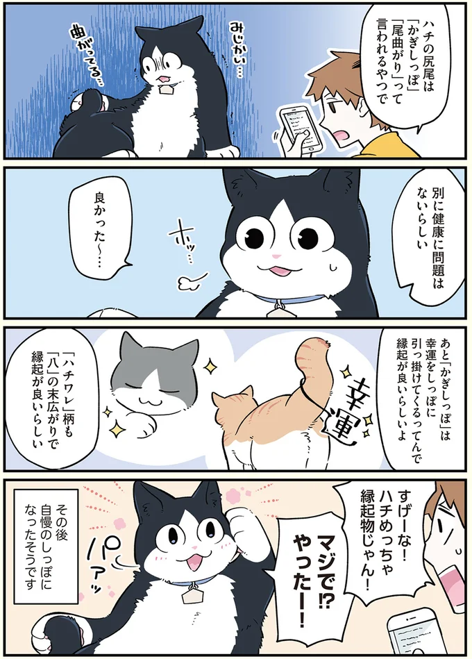 すげーな！ハチめっちゃ縁起物じゃん！