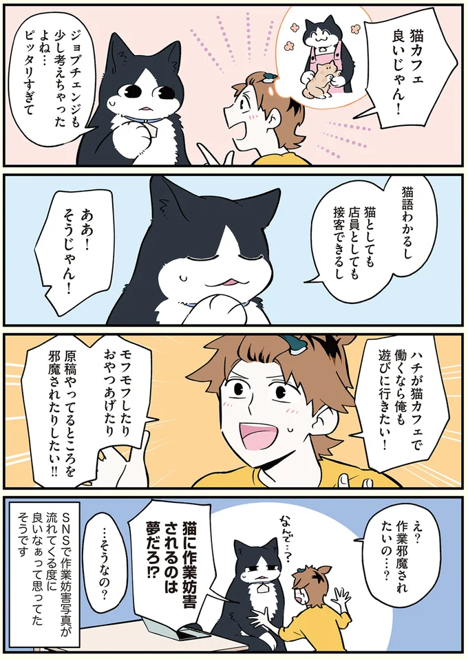 猫語わかるし