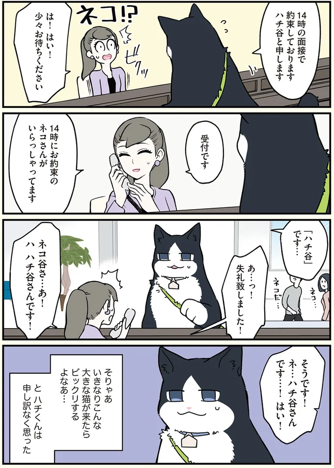 14時にお約束のネコさんがいらっしゃってます