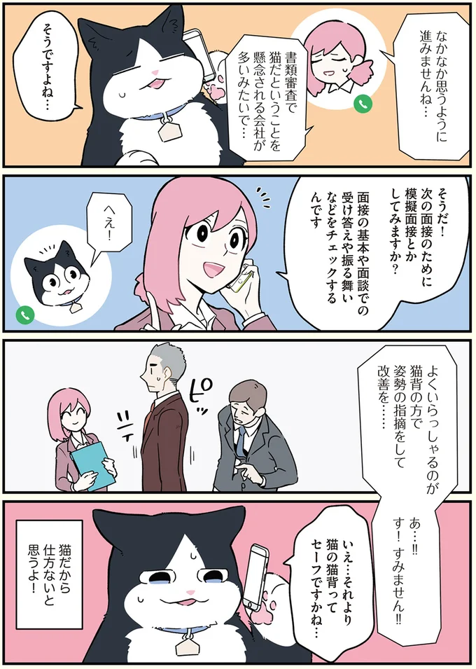 猫の猫背ってセーフですかね…