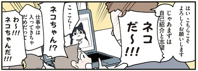 ネコだ〜!!!