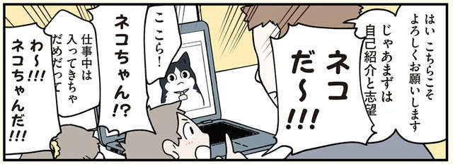 リモート面接もうまくいかない？ 猫になった弊害が転職にも影響するなんて