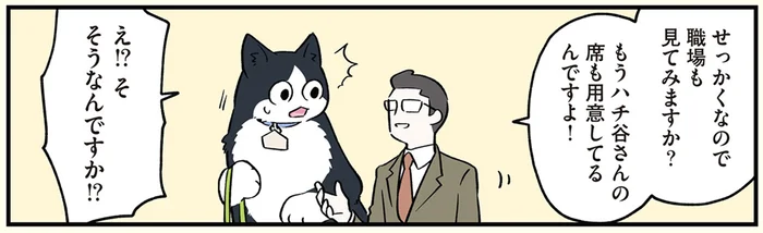 「もう席も用意してるんですよ」猫になった青年が職場を見せてもらうと