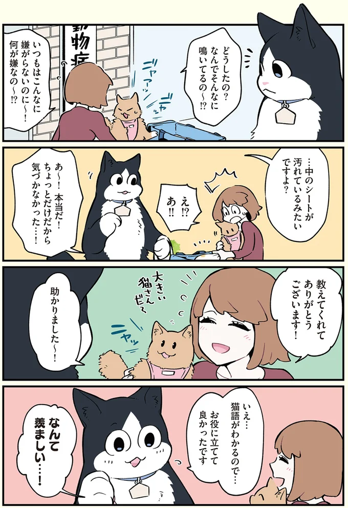 なんて羨ましい…！