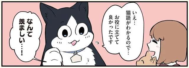猫の悩みも人間と同じ？ 猫語が分かることを活かして始めた仕事の話