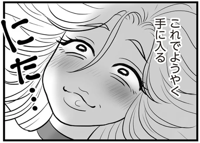 ようやく手に入る