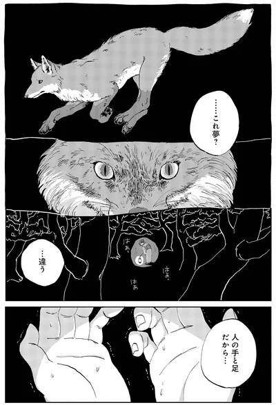 ……これ夢？