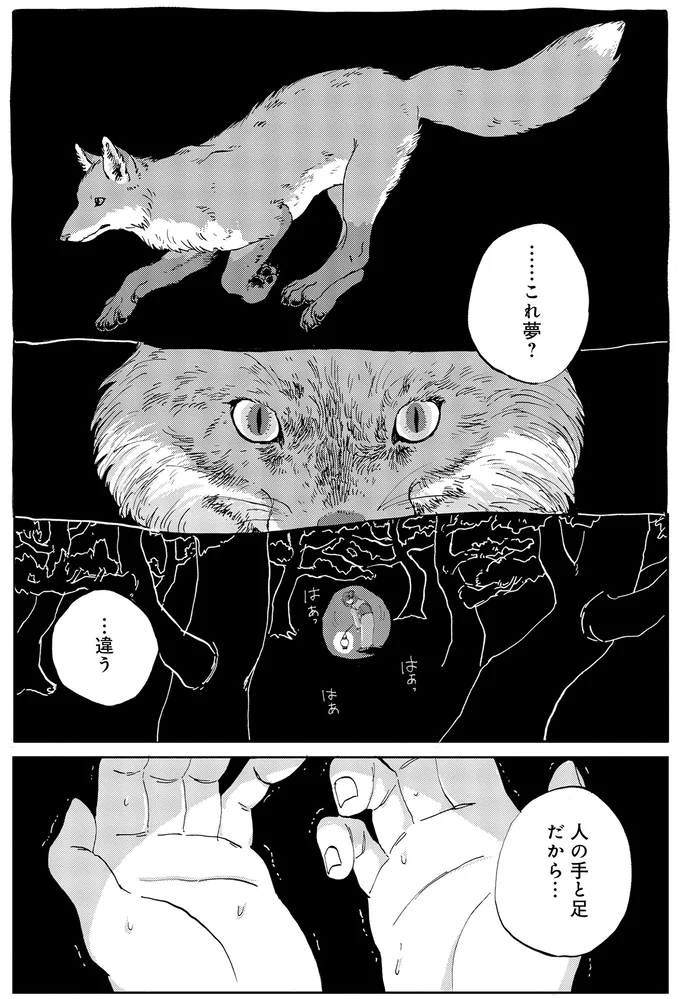 ……これ夢？