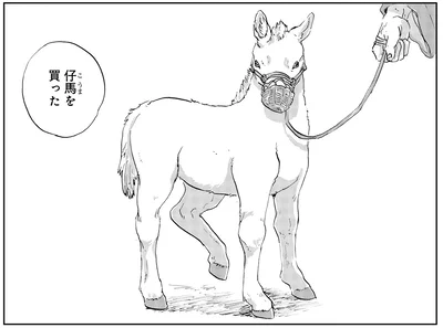 仔馬を買った