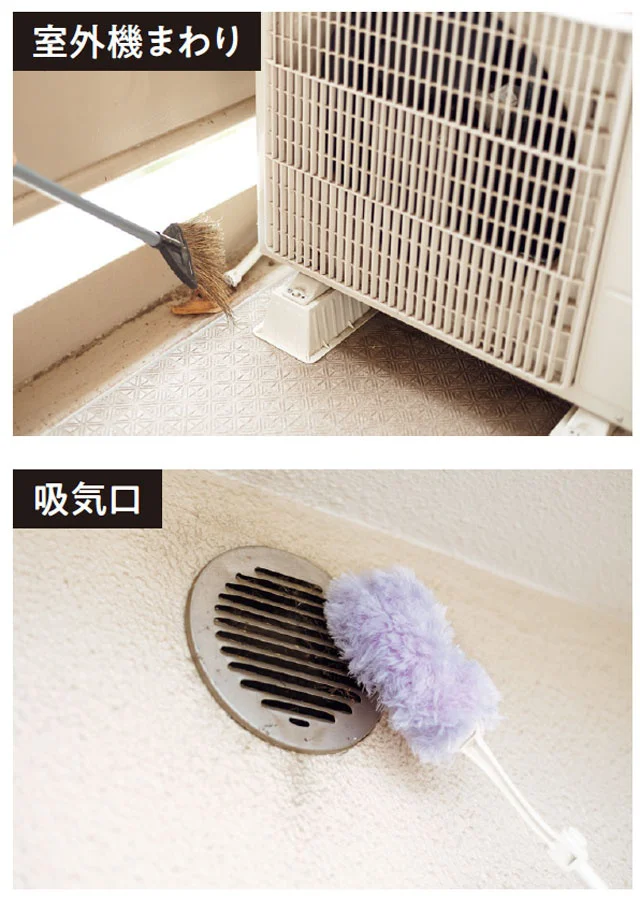 まずは庭やベランダ、室外機の周りなどをチェック。