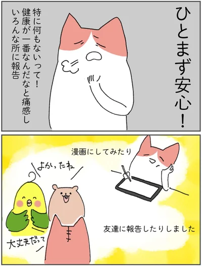 ひとまず安心！