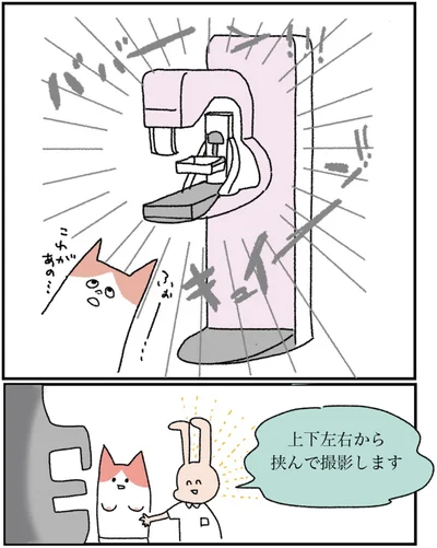 上下左右から挟んで撮影します
