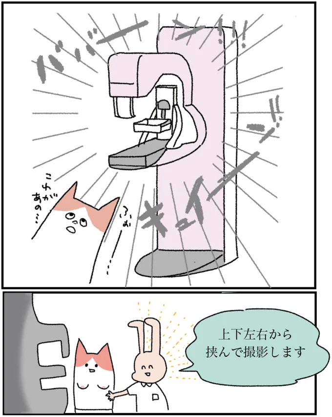 上下左右から挟んで撮影します