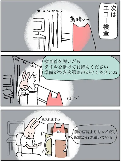 次はエコー検査
