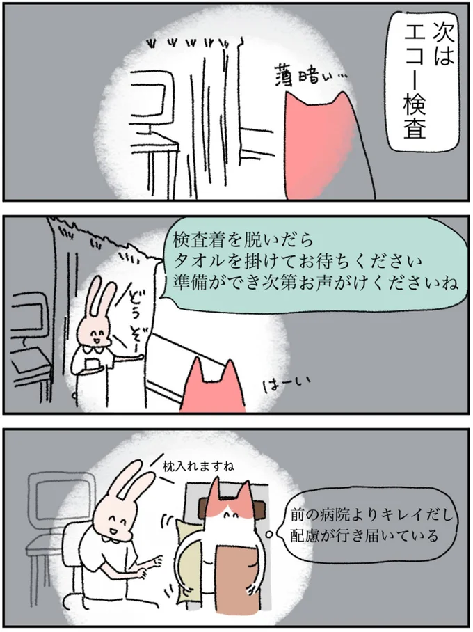 次はエコー検査